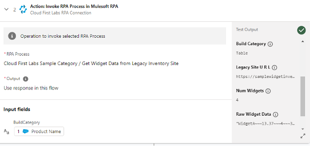 RPA Process data output