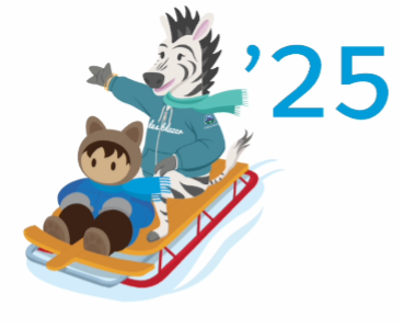 Salesforce Winter Release 2025